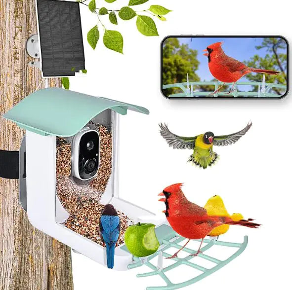Comedero para pájaros impermeable con energía solar y cámara