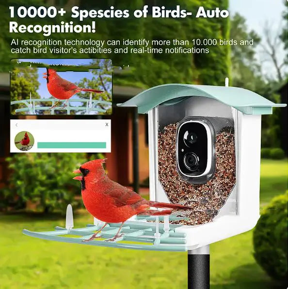 Comedero para pájaros impermeable con energía solar y cámara