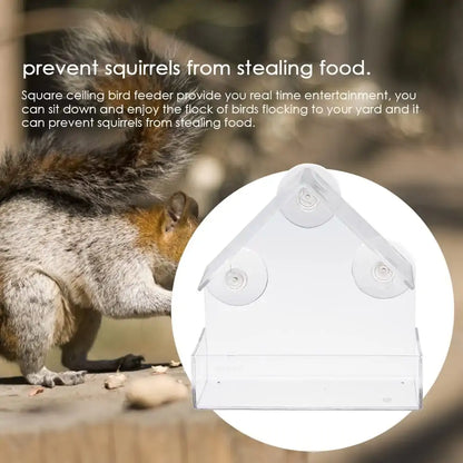 Comedero acrílico para pájaros con ventosa