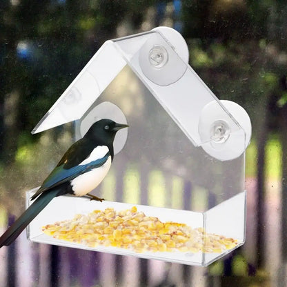 Comedero acrílico para pájaros con ventosa