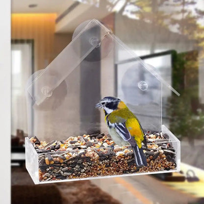 Comedero acrílico para pájaros con ventosa