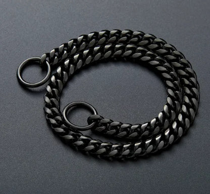 Correa de acero inoxidable para perros